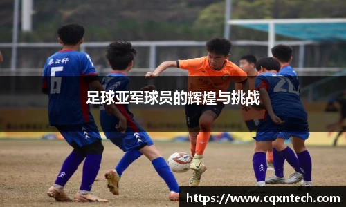 凤凰联盟首页官网